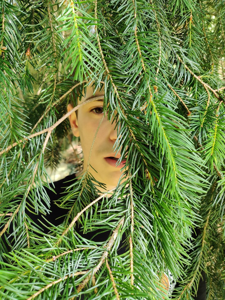 Behind fir