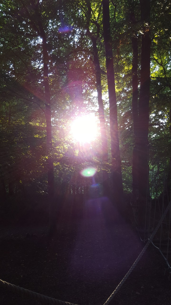 sun