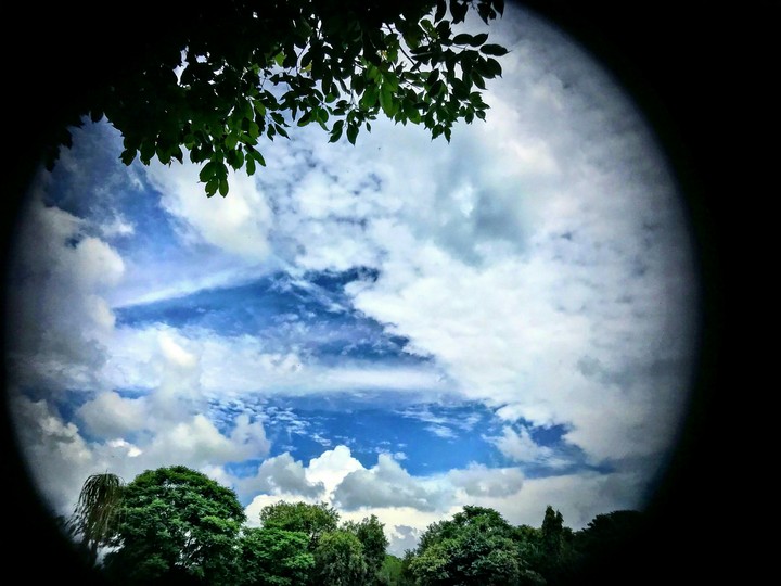 Sky