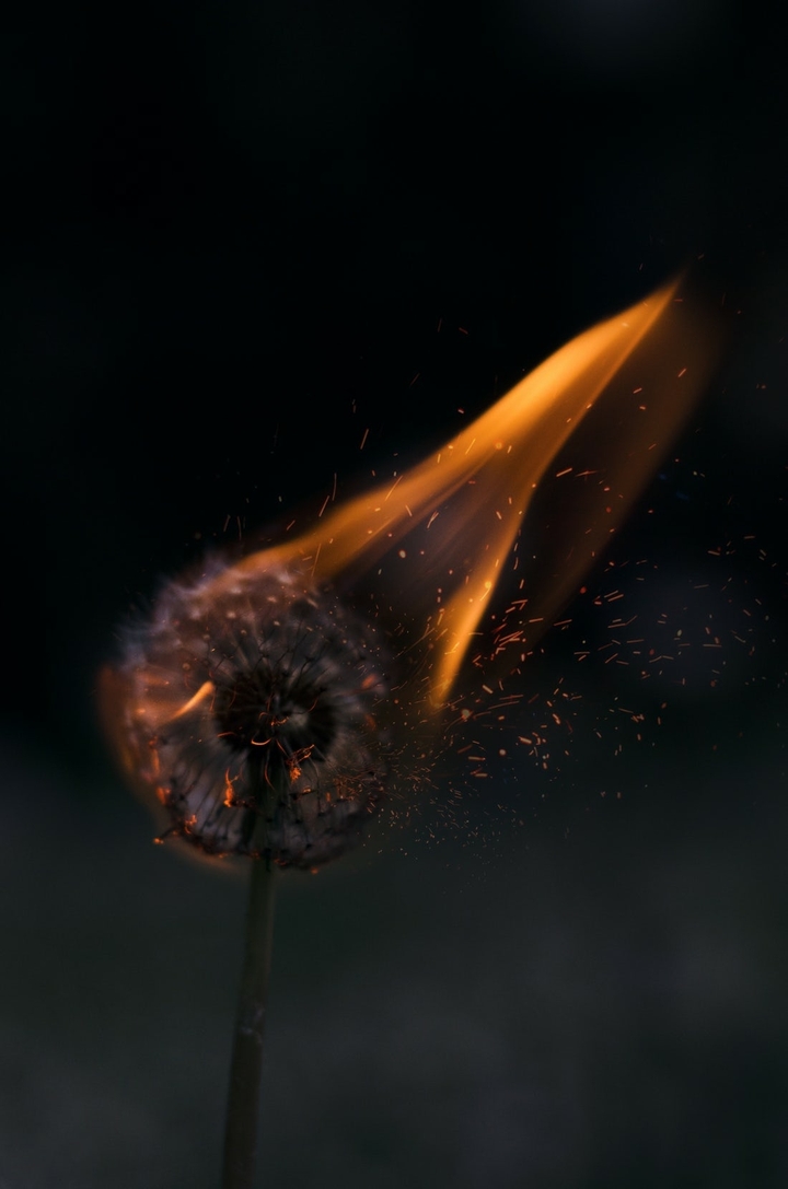 fire