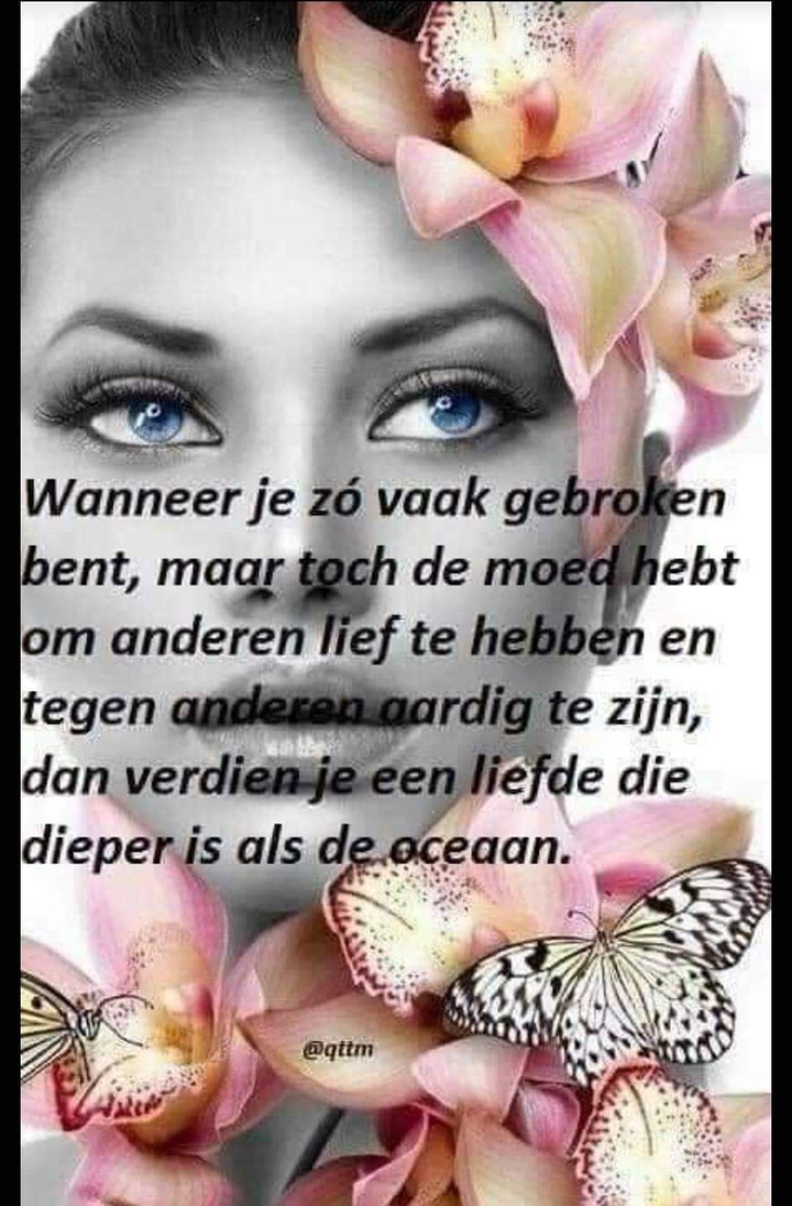 teksten