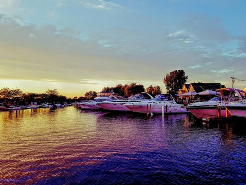 the sunset