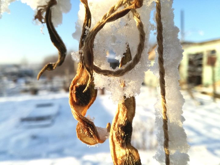 a piece of winter