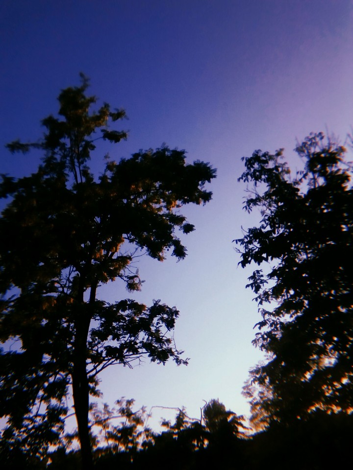 sky