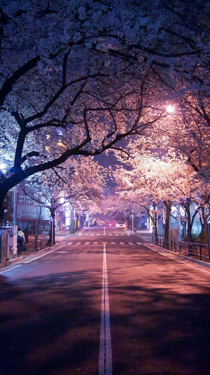 butifull