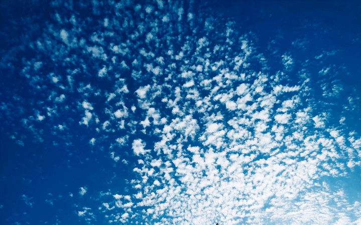 Colours spread out on a blue sheet