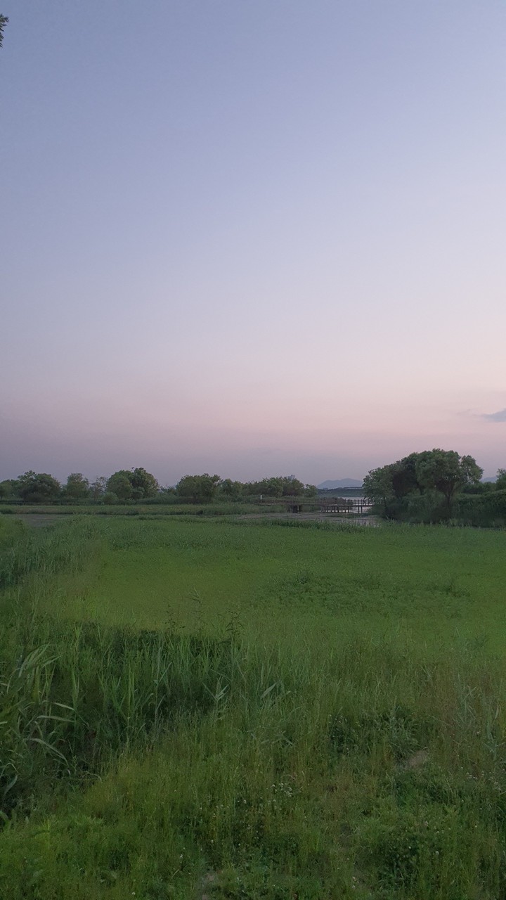 해질녁(sunset)