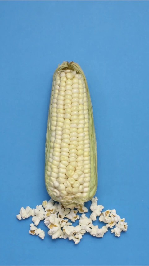 Popcorn Rocket