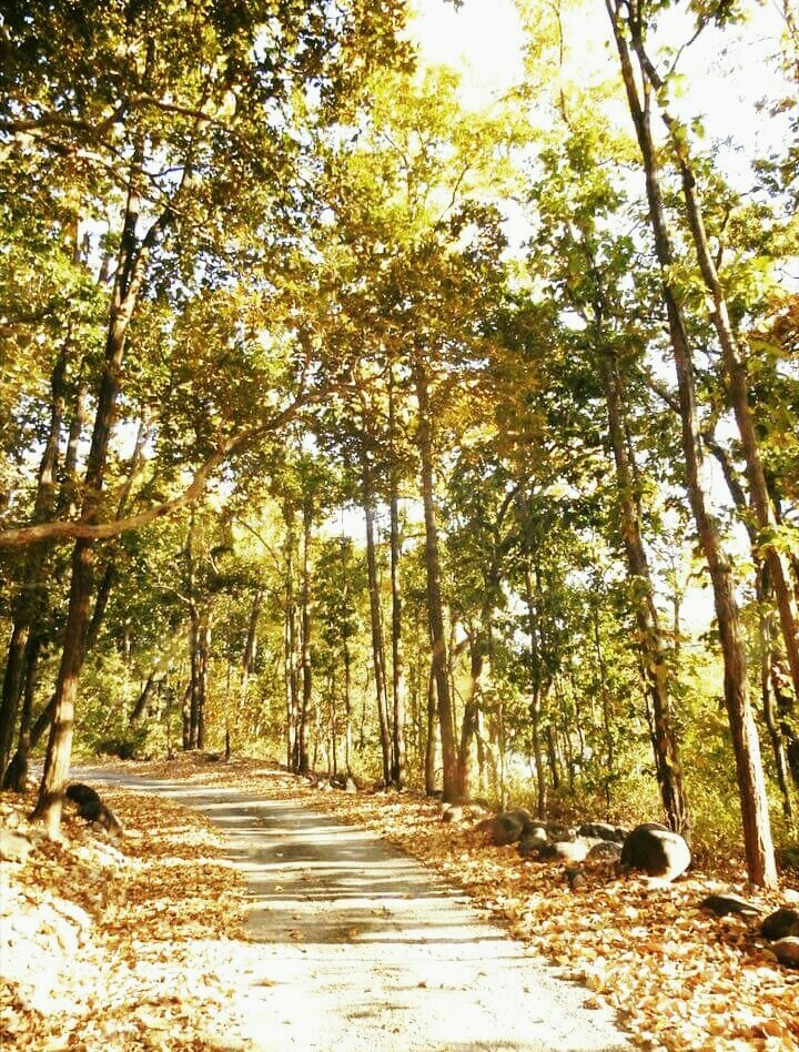 Nature's lap