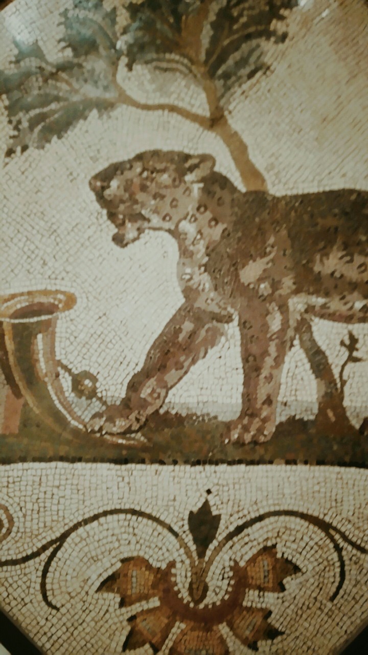 Leone (lion)