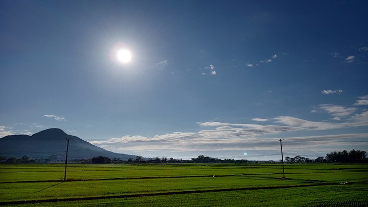 Campo