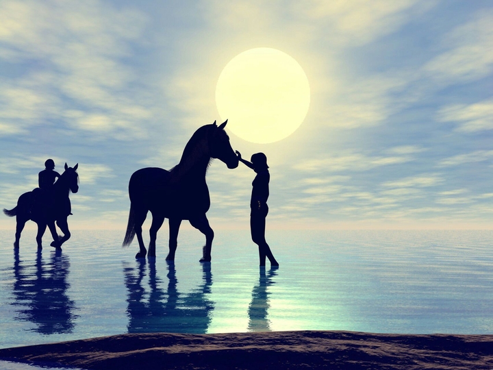 Horse