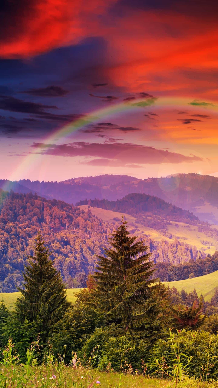 Nature