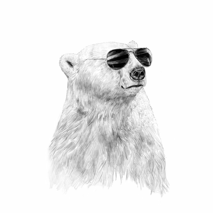 white bear