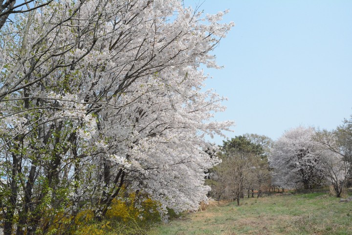 풍경이미지