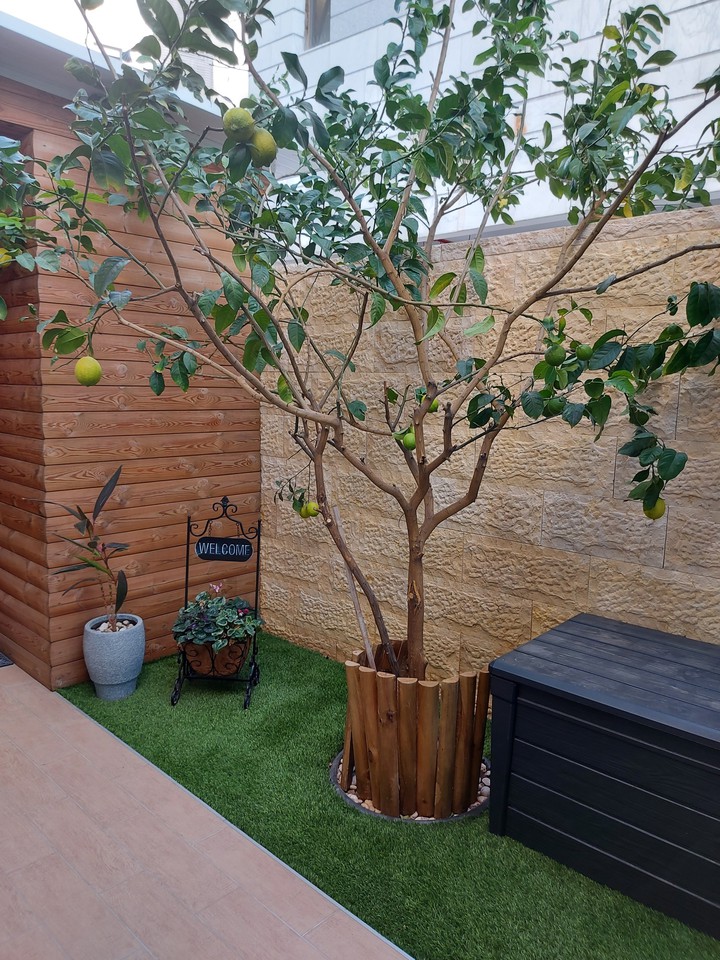 Lemon tree