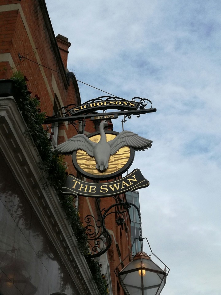 The Swan