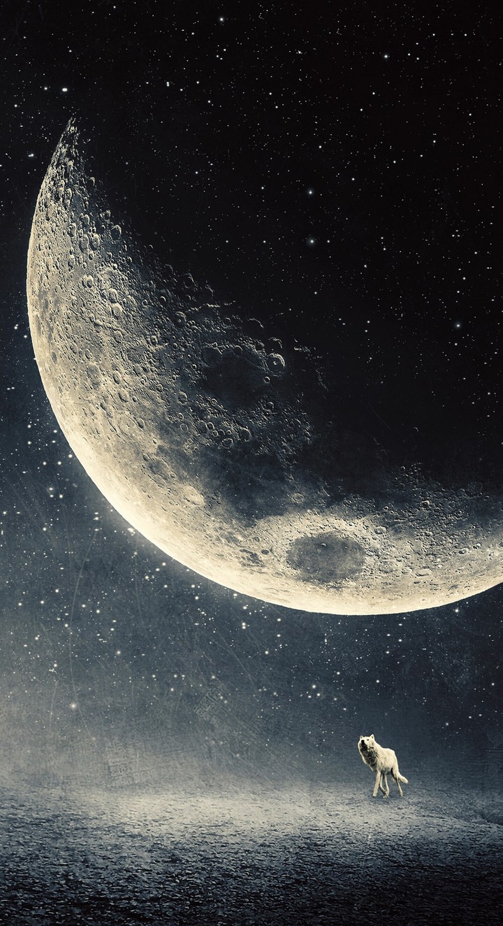 Moon