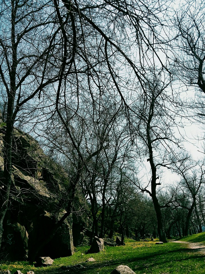 island2
