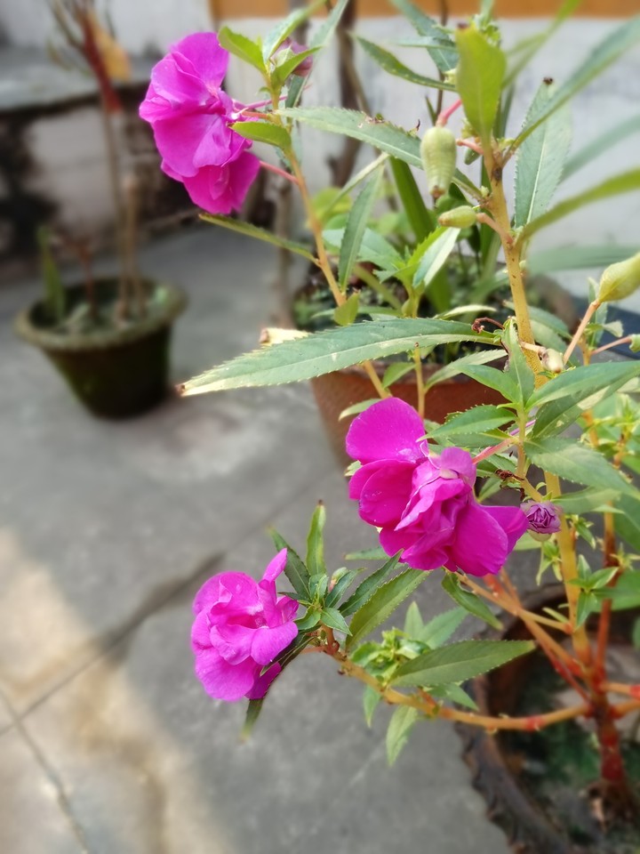 i always feel happy taking a good click