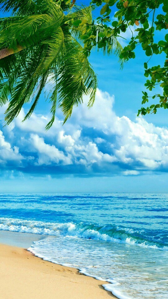 nice~