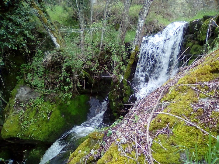 cascata