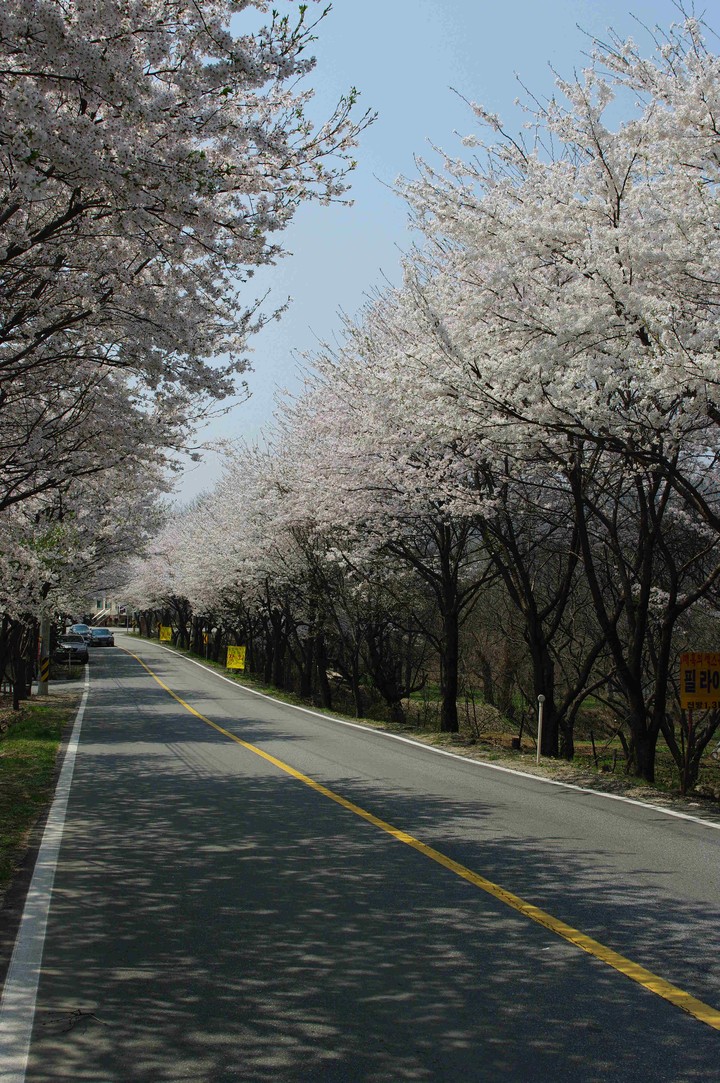 Spring