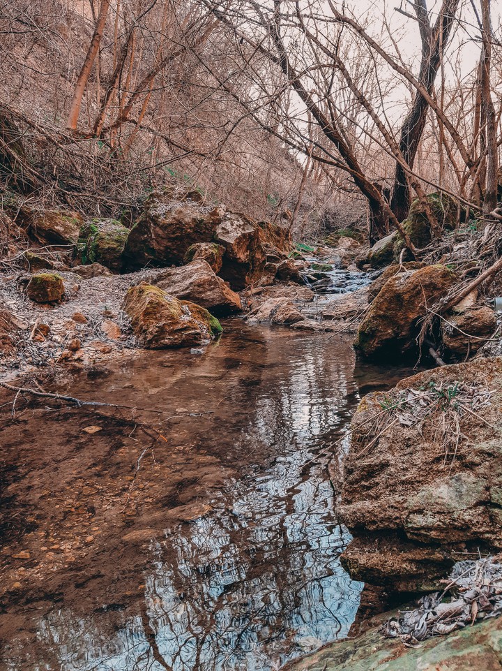 Nature