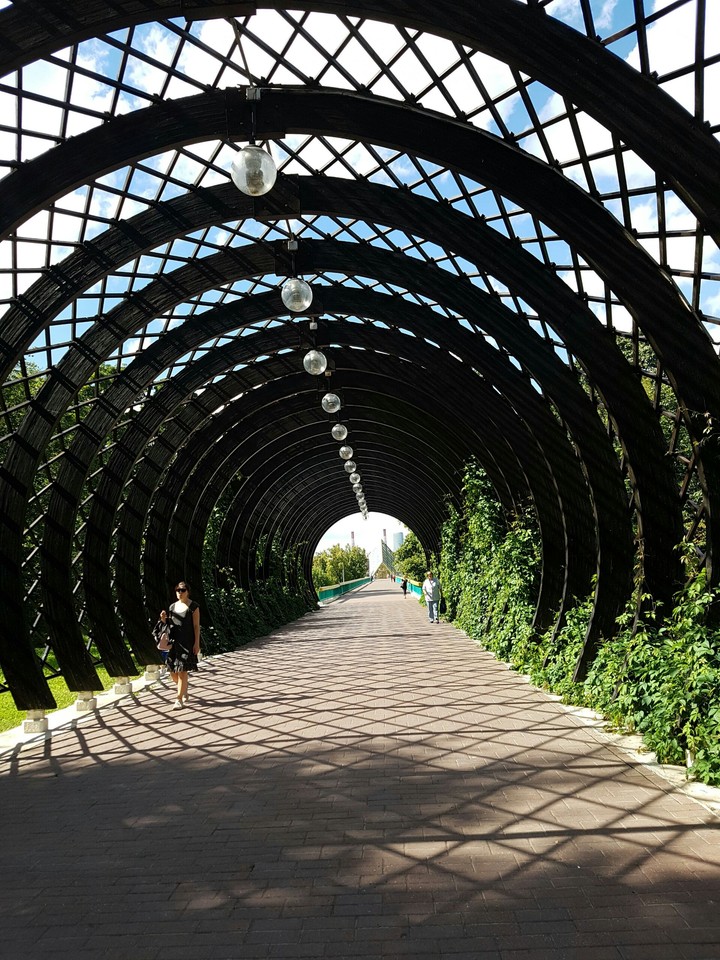 Sunny day in park