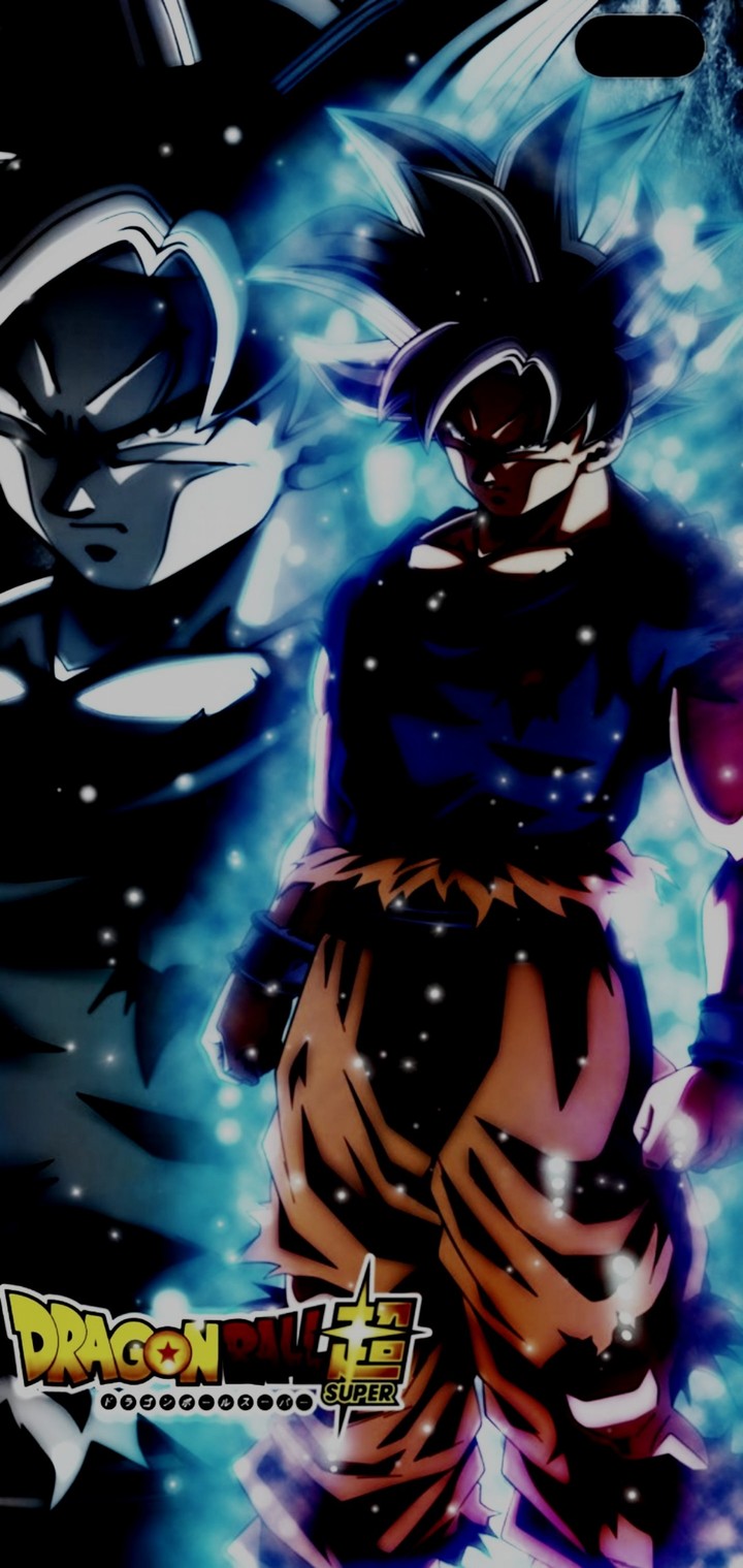 Migatte No Gokui Ultra Instinto Dragon Ball Super