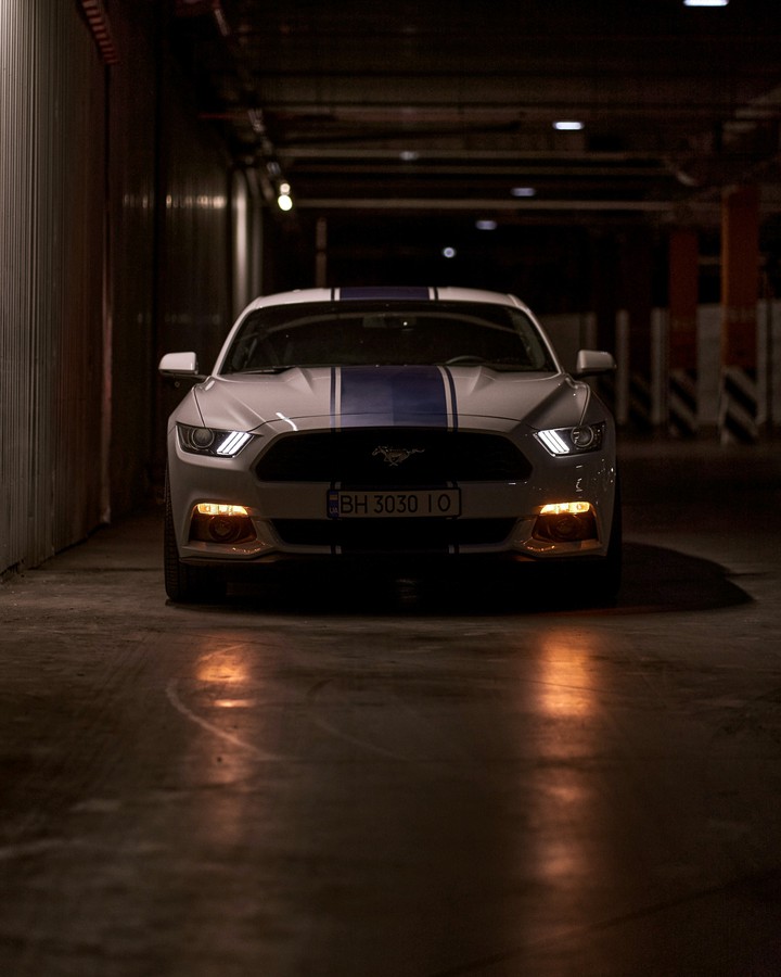 my mustang