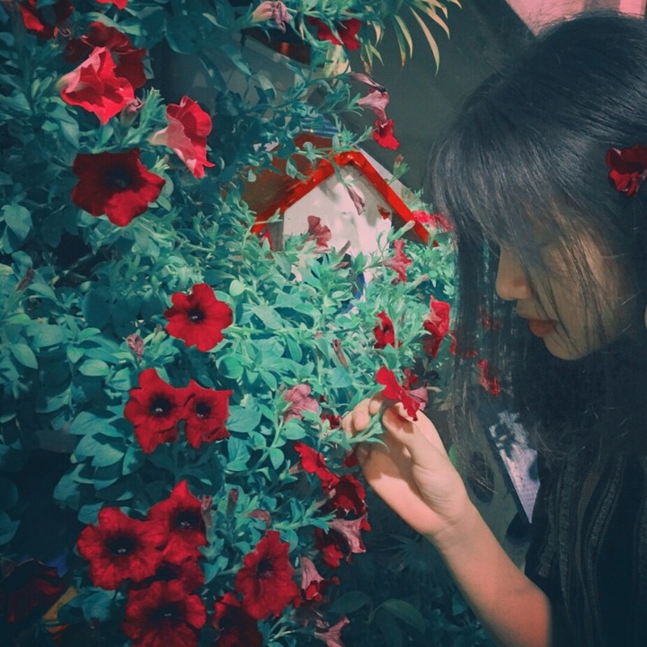 flowers