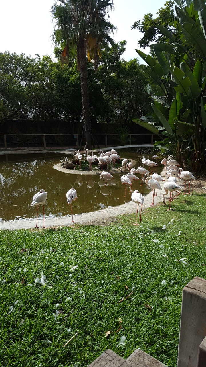 zoopark