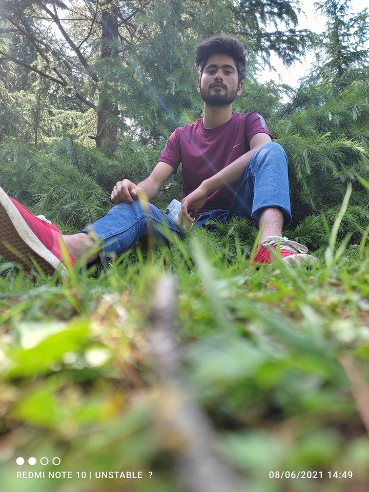 picnic