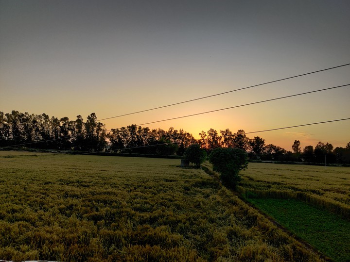 sunset ?