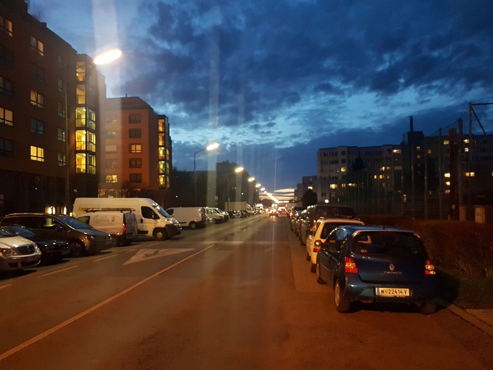 vienna