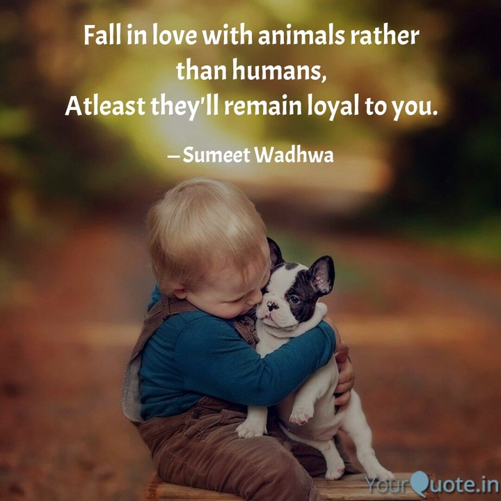 Love animals