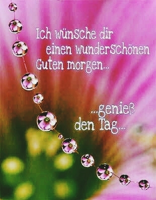 Guten Morgen