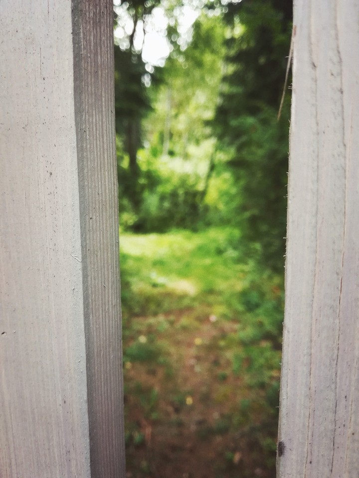 nature