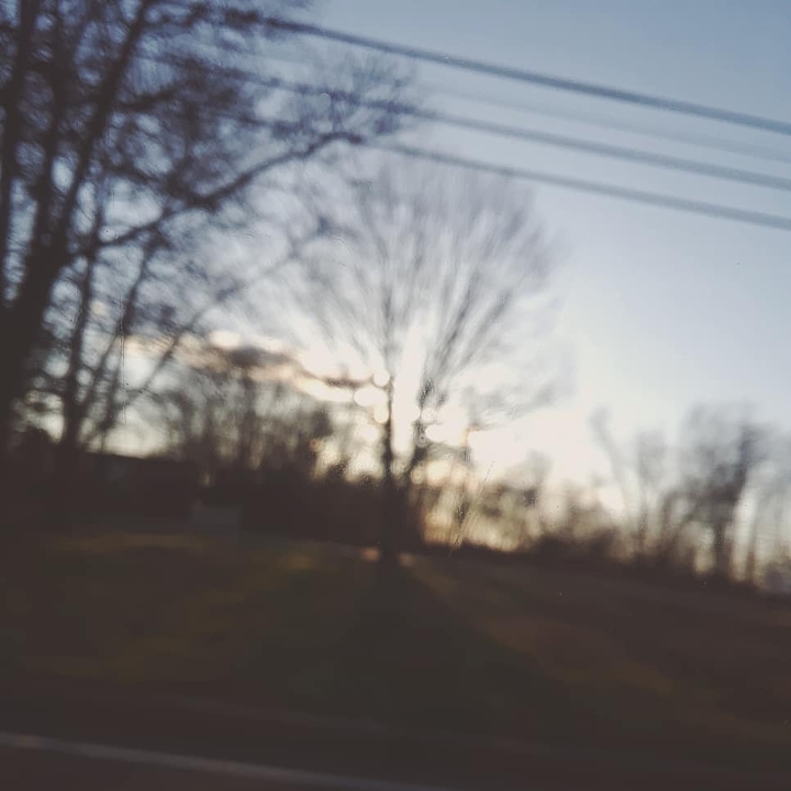 BlurryTrees