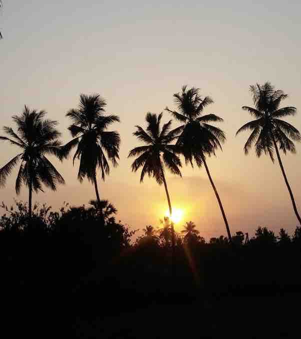 nature