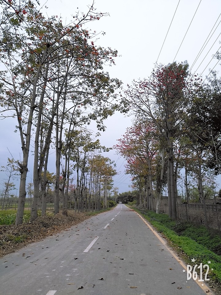 travel