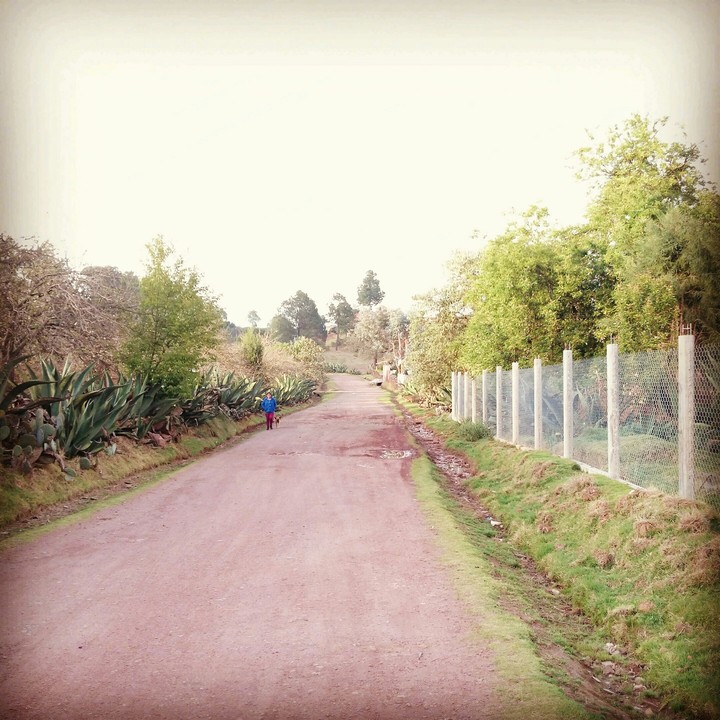 campo