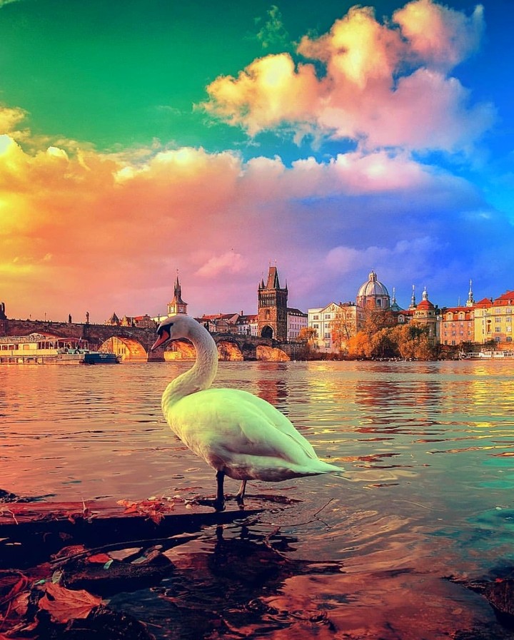 Prague