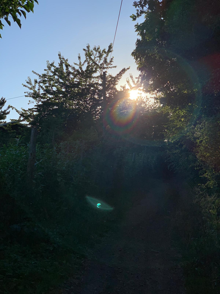 ☀️