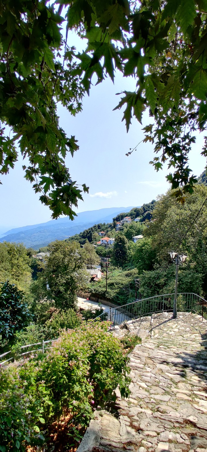 pilio