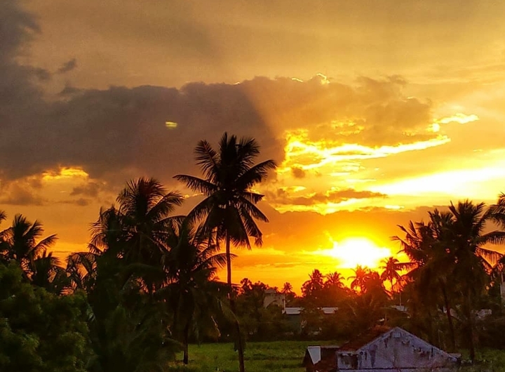 The Sun Shine.