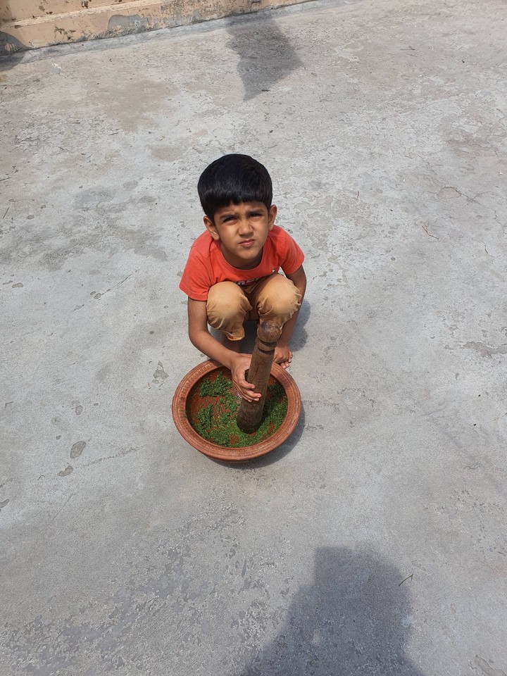 musa