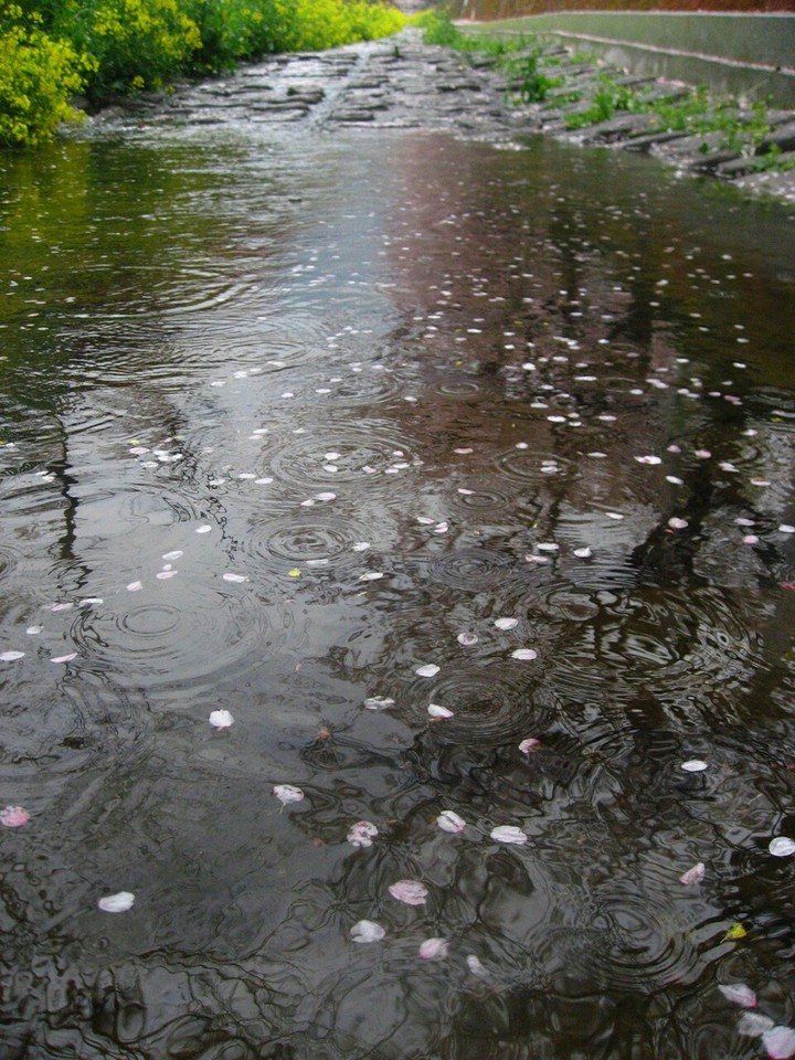 rain