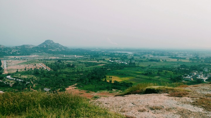 nature